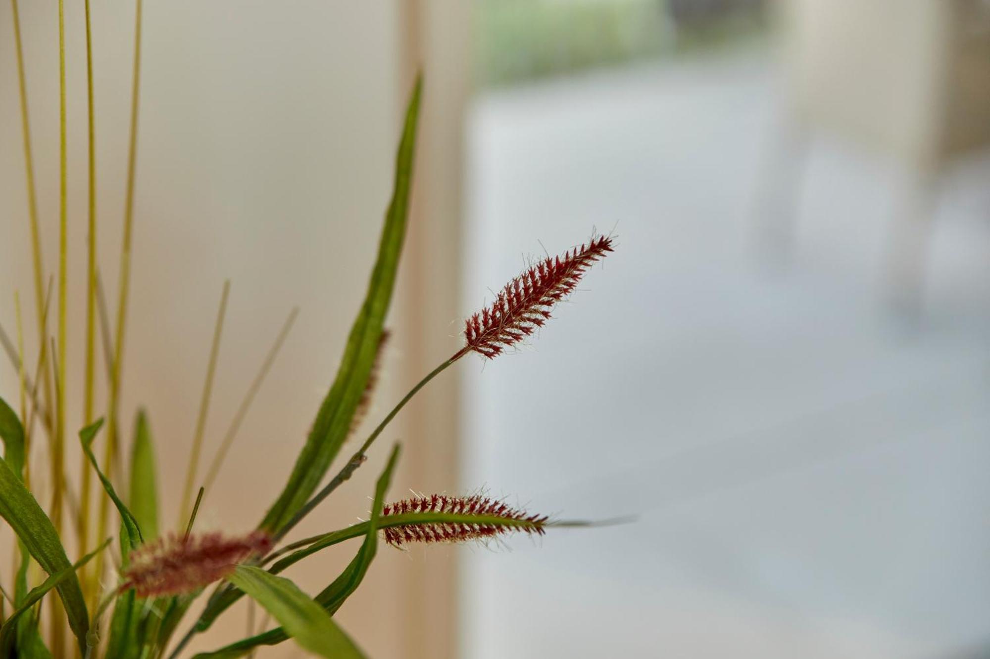 Moseltraum Apartman Bernkastel-Kues Kültér fotó
